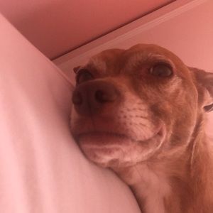 Meet your Posher, Jillian